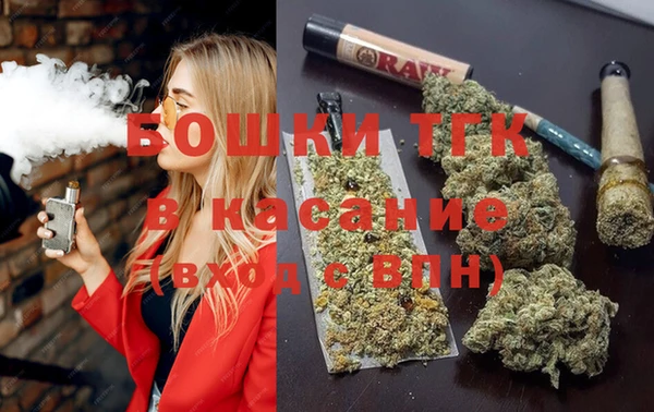 мдпв Осинники