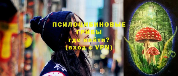 мдпв Осинники