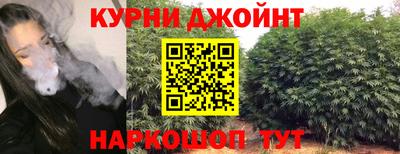 mdpv Заводоуковск