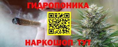 ГАЛЛЮЦИНОГЕННЫЕ ГРИБЫ Заволжье