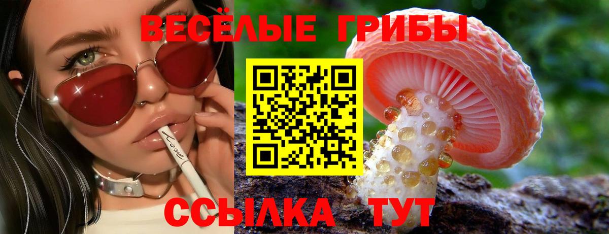 Галлюциногенные грибы Psilocybe  Омск 