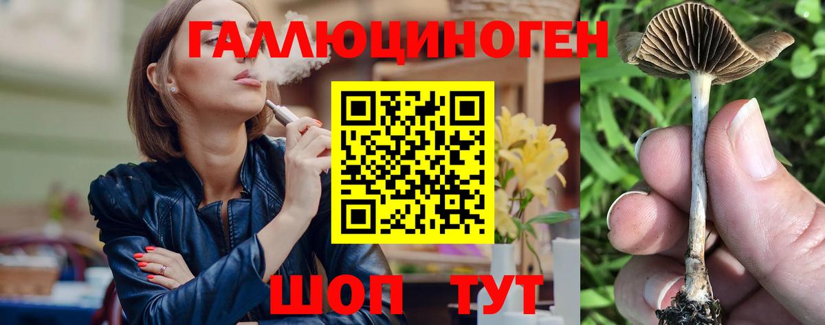 Омск  Галлюциногенные грибы Psilocybine cubensis  Галлюциногенные грибы Magic Shrooms  Вход с VPN 